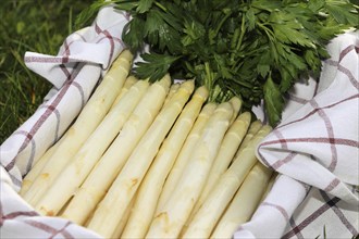 White asparagus decorated in a wooden crate