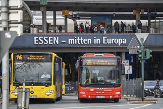 Local transport, junction at the main railway station, local trains, city bus, in the city centre