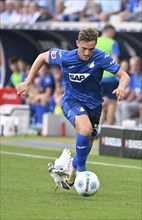 White pigeon on the pitch, grass, being harassed by Jacob Bruun Larsen TSG 1899 Hoffenheim (29)