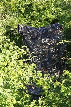 Nature photographer in camouflage at work, camouflage net in a dense bush surrounded by green