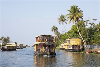 Traditional houseboats on a canal in the canal system of the backwaters, Kerala, India, Asia