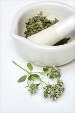 Dried oregano in a grating bowl and a sprig of flowering oregano, Origanum vulgare