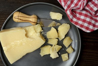 A piece of Parmesan cheese and chopped pieces of cheese on a plate