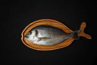 Raw fresh dorado fish, wooden plate in the shape of a fish, on a black table, top view, no people