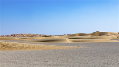 Wind-sculpted curved sand dunes in the Rub al Khali desert, Dhofar province, Arabian Peninsula,