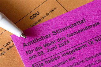 Official ballot papers, ballot papers, election matter, CDU, regional election, district council