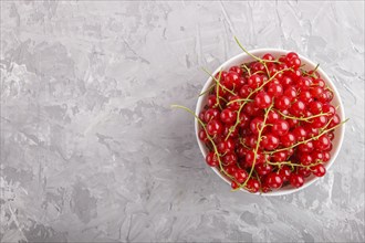 Fresh red currant in white bowl on gray concrete background. top view, flat lay, copy space