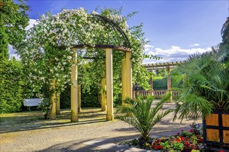 Pavilion with climbing roses in the spa gardens, spa town of Bad Pyrmont, Lower Saxony state spa,