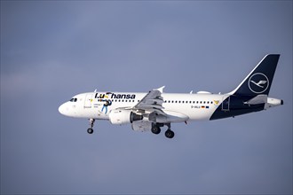 Lufthansa Airbus A310-100, landing approach to Frankfurt FRA airport, Fraport, in winter, Hesse,