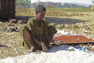 Amhara region, young man checks the maize and peppers lying in the sun to dry, Ethiopia, Africa