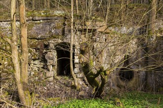 The Polenz is the right-hand, smaller source river of the Lachsbach in Saxony and flows through the