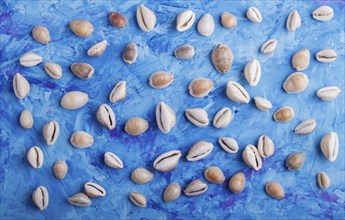 Various seashells pattern on a blue concrete background, top view, flat lay