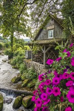 Historic mill, Mühlenweg, Ottenhöfen, Ortenau, Black Forest, Baden-Württemberg, Germany, Europe