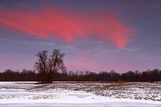 Winter floods 2024 on the Elbe and Mulde rivers with flooding of the meadows, ice on the meadows