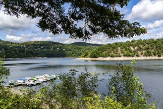 Rursee, bay near the village of Rurberg, Eifel National Park, North Rhine-Westphalia, Germany,