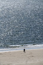 Strollers on the beach near Zoutelande Province of Zeeland, Walcheren Peninsula, Netherlands