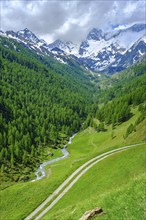 Mountain landscape in the Passeier Valley near Rabenstein above moss in Passeier, South Tyrol,