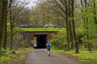 The Sterkrader Wald in Oberhausen, at the Oberhausen motorway junction, where the A2/A3A/A516 meet,