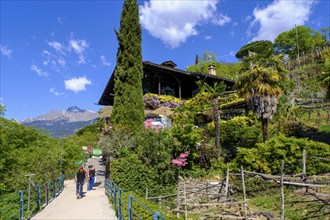 On the Tappeinerweg, with restaurant and cafe Saxifraga, Merano, South Tyrol, Italy, Europe