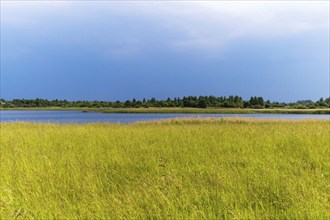 Rural landscape with lake and group of trees on the other side