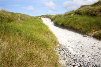 Sandy path through vegetated sand dunes on Vatersay, Barra, Outer Hebrides, Scotland, UK