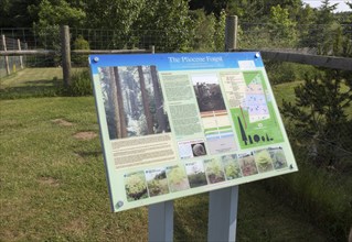 GeoSuffolk information panel board for the Pliocene Forest, Rockhall Wood SSSI, Sutton, Suffolk,