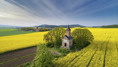 Agriculture, rape field, in full bloom, yellow, in it a small church, aerial view, AI generated, AI