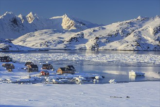 Inuit settlement, houses on fjord with icebergs in front of snowy mountains, winter, sunny,