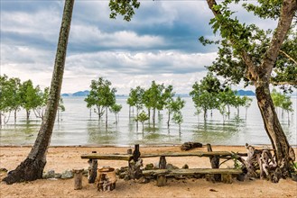 Trees in the water on a flooded stretch of beach on the island of Koh Yao Noi, water level, climate