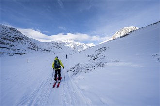 Ski tourers ascending in the rear Martell Valley, snow-covered mountain peak Monte Cevedale behind,