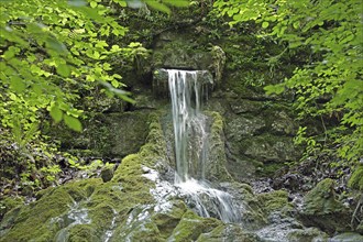 Seisenbergklamm gorge, natural monument, Pinzgau, Salzburger Land, Austria, Europe