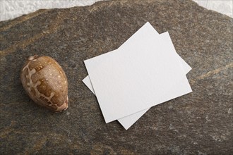 White paper business card, mockup with natural stone and seashell on gray concrete background.