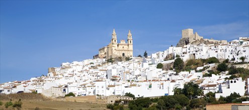 Whitewashed town of Olvera, Cadiz Province, Andalusia, Spain, Europe