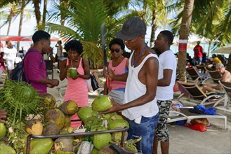 People buying fresh coconuts on a busy beach under palm trees, Boca Chica, Santo Domingo Province,