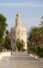 Torre del Orre built 1220 by the Almohads, moorish tower where gold was stored, Seville, Spain,