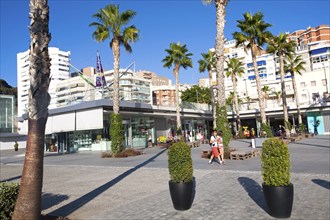 Palm trees cast shadows in new port development Muelle Uno in Malaga, Spain, Europe