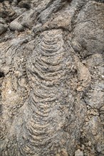 Solidified pahoehoe or ropey lava field, Tahiche, Lanzarote, Canary Islands, Spain, Europe