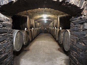 Oak wine barrels in the cellar of a winery, wine cellar, Bernkastel-Kues, Moselle,