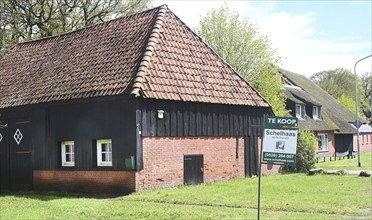 NL, Eesergroen: Spring characterises the landscape, towns and people in the province of Drenthe in