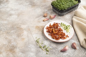 Fried Cordyceps militaris mushrooms on brown concrete background with microgreen, herbs and spices.