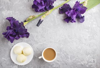 Purple iris flowers and a cup of coffee with marshmallow on a gray concrete background. Morninig,