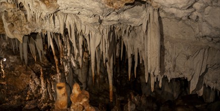 Stalactites in a stalactite cave, Terciopelo Cave, Barra Honda National Park, Costa Rica, Central