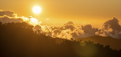 Evening mood, clouds over cloud forest, mountain rainforest, Parque Nacional Los Quetzales, Costa