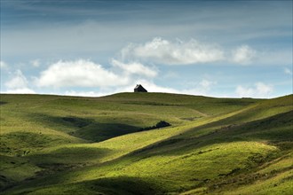 Isolated farm called buron on the Cezallier plateau in the Auvergne Volcanoes Regional Natural