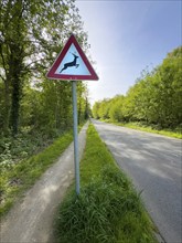 Traffic sign warning sign wildlife crossing stands next to straight narrow road through forest