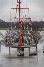 Flood on the Rhine near Duisburg, river near Duisburg-Ruhrort, at the Mühlenweide, completely