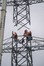 Installation of a high-voltage pylon, construction of a new line route, near Neuss-Holzheim, North