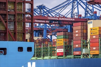 Magleby Maersk container freighter at EUROGATE Container Terminal, Waltershofer Hafen, one of the