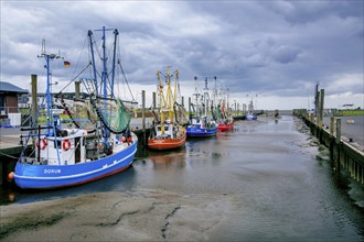 Harbour with shrimp boats at low tide, Dorum-Neufeld, Dorum, Wurster North Sea coast, Land Wursten,