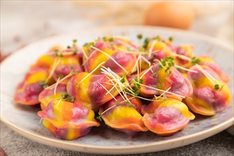 Rainbow colored dumplings with pepper, herbs, microgreen on brown concrete background and linen